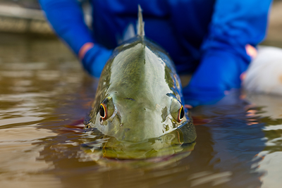 Akuani Floating Camp - gallery image 12