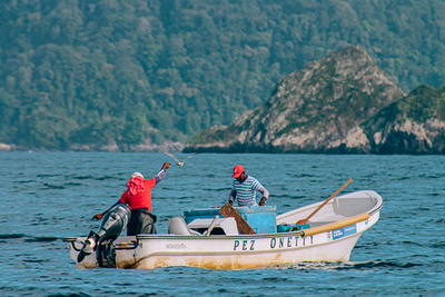 Anigua Pacific Lodge - gallery image 19