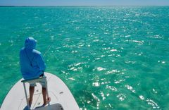 Canarreos - gallery image 6