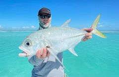 Canarreos - gallery image 8