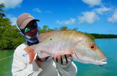 Canarreos - gallery image 10