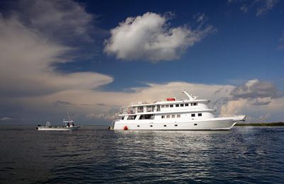 Canarreos - gallery image 13