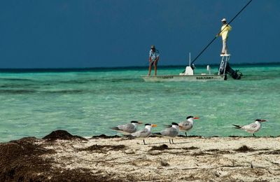 Cayo Largo - gallery image 11