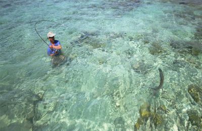 Cayo Largo - gallery image 15