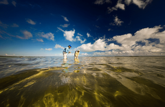 Cayo Romano - gallery image 1