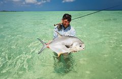 Cayo Romano - gallery image 2