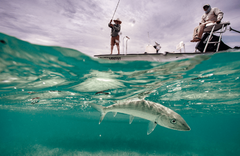 Cayo Romano - gallery image 4