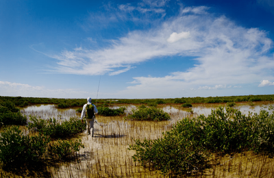 Cayo Romano - gallery image 16
