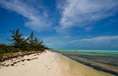 Cayo Romano - gallery image 18