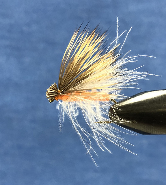 CDC Orange McKenzie Caddis Caddis Flies that Catch Fish