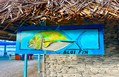 Christmas Island Lodge - gallery image 4