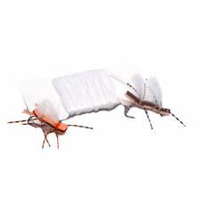 Chubby White Wing Material