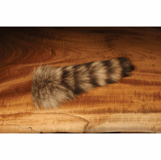 Complete Racoon Tail