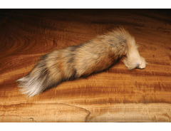 Complete Red Fox Tail