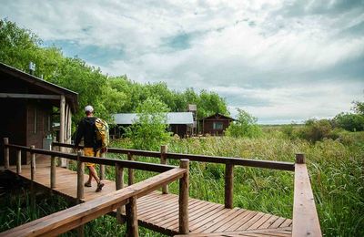 Delta Eco Lodge - gallery image 13