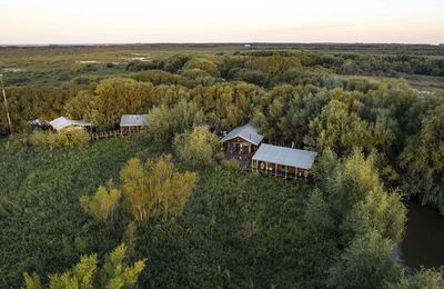 Delta Eco Lodge - gallery image 15