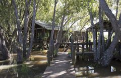 Delta Eco Lodge - gallery image 9