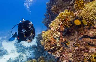 Eleven Bahama House - gallery image 10