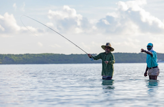 Eleven Bahama House - gallery image 5
