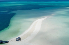 Eleven Bahama House - gallery image 6