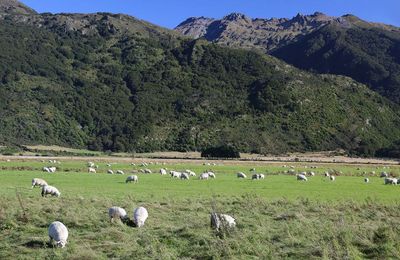 Eleven Cedar Lodge - gallery image 15