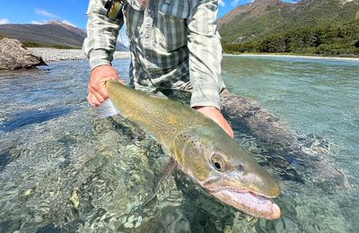 Eleven Cedar Lodge - gallery image 18