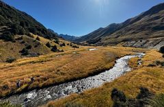 Eleven Cedar Lodge - gallery image 8