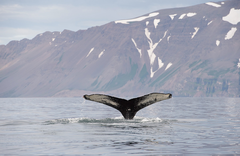 Eleven Deplar Farm - gallery image 6