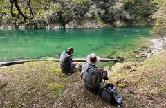 Eleven Owen River Lodge - gallery image 8