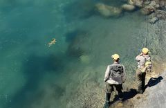 Eleven Owen River Lodge - gallery image 9