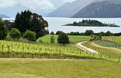 Eleven Owen River Lodge - gallery image 17