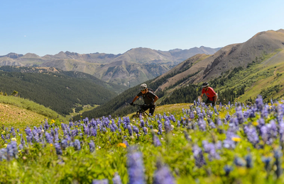 Eleven Scarp Ridge Lodge - gallery image 16