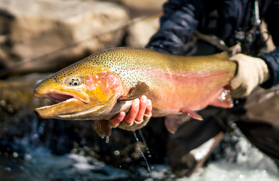 Estancia Laguna Verde Lodge - gallery image 12