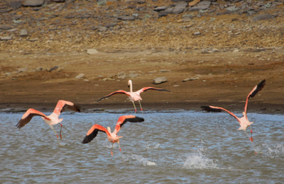 Estancia Laguna Verde Lodge - gallery image 19