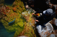 Estancia Laguna Verde Lodge - gallery image 3