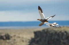Estancia Laguna Verde Lodge - gallery image 7