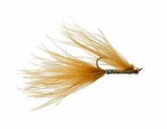 Gaviglios CJ Rufus Leech