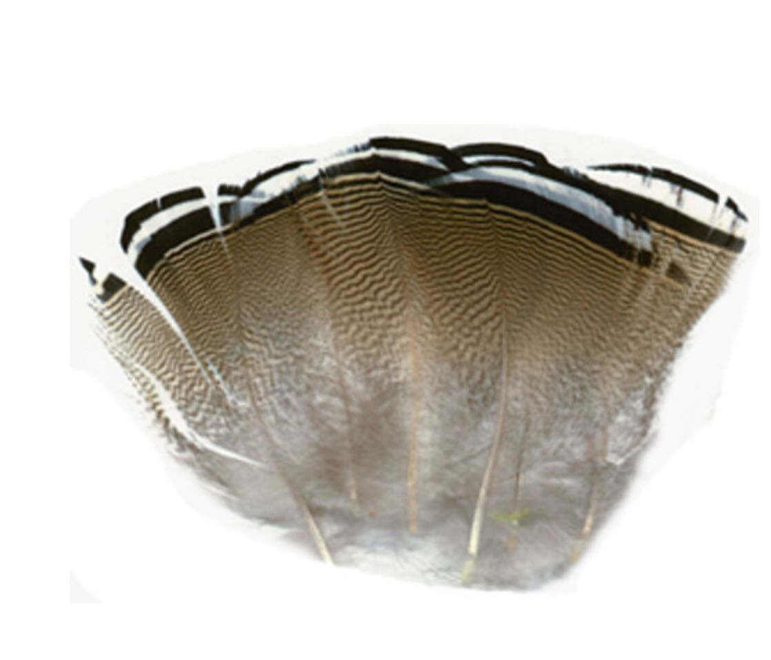 Hareline Wood Duck Flank Fly Tying Feathers Materials Supplies