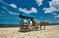 Isla de la Juventud - gallery image 3