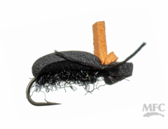 Jake's Gulp Beetle