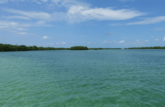 Jardines de la Reina - gallery image 4