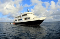 Jardines de la Reina - gallery image 6