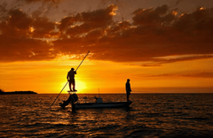 Jardines de la Reina - gallery image 8