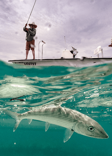 Jardines de la Reina - info image 1