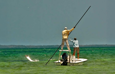 Jardines de la Reina - gallery image 10