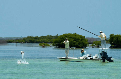 Jardines de la Reina - gallery image 19