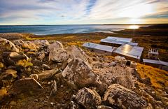 Jurassic Lake Lodge - gallery image 1