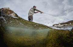 Jurassic Lake Lodge - gallery image 4