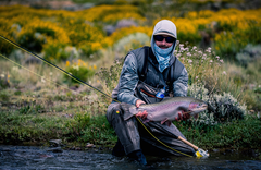 Jurassic Lake Lodge - gallery image 6