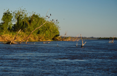 Karanda Lodge - gallery image 2